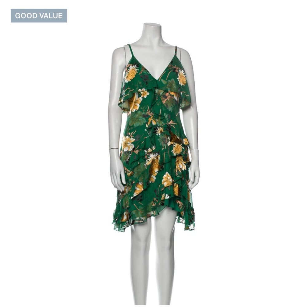 Alice and Olivia dress. Size 2. Floral and flowy. So cute on.